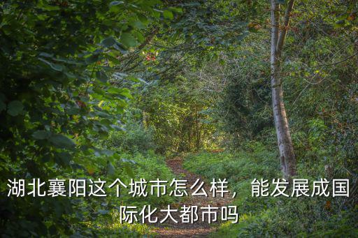 湖北襄陽這個城市怎么樣，能發(fā)展成國際化大都市嗎