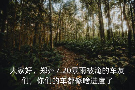 鄭州被淹的汽車賣嗎鄭州水淹車怎么處理,鄭州4s店正在賣的汽車