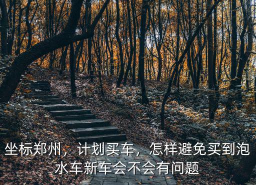 鄭州泡水車大概多少,大量鄭州泡水車上市