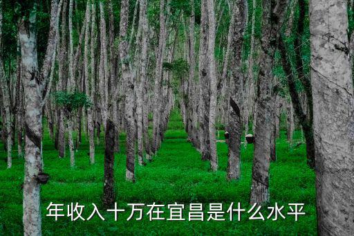 年收入十萬(wàn)在宜昌是什么水平