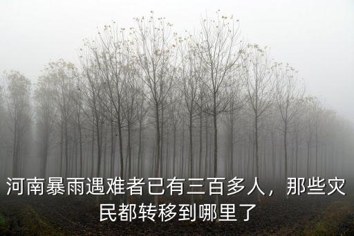河南暴雨飄到哪里了,河南暴雨襲城