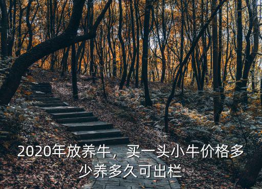 2020年放養牛，買一頭小牛價格多少養多久可出欄