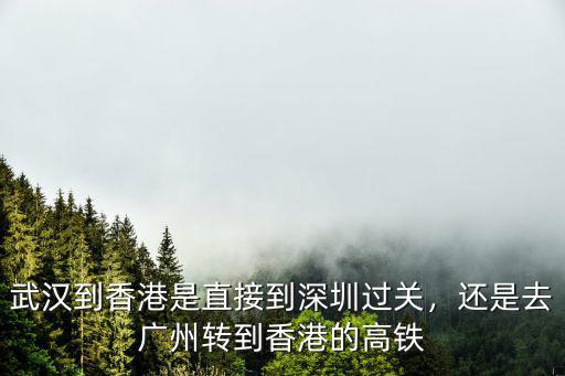 武漢到香港是直接到深圳過(guò)關(guān)，還是去廣州轉(zhuǎn)到香港的高鐵