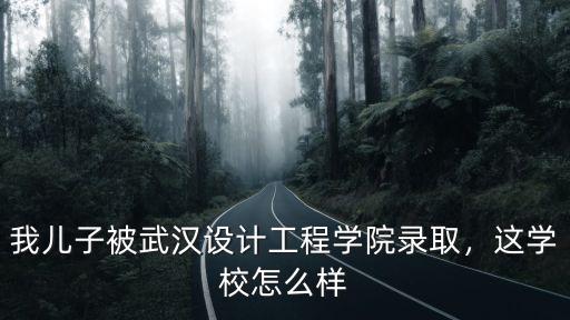 我兒子被武漢設(shè)計工程學(xué)院錄取，這學(xué)校怎么樣