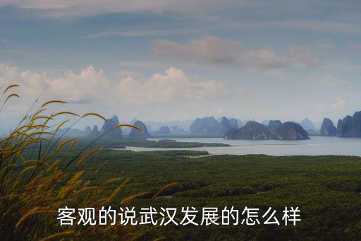 武漢建港發展怎么樣,武漢發展的怎么樣