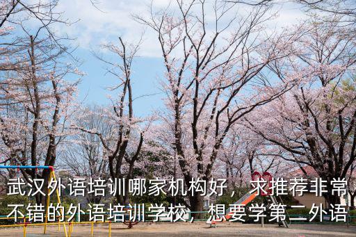 武漢外語培訓(xùn)哪家機(jī)構(gòu)好，求推薦非常不錯(cuò)的外語培訓(xùn)學(xué)校，想要學(xué)第二外語