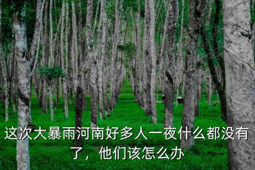 這次大暴雨河南好多人一夜什么都沒有了，他們該怎么辦