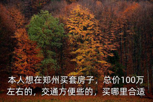 本人想在鄭州買套房子，總價100萬左右的，交通方便些的，買哪里合適