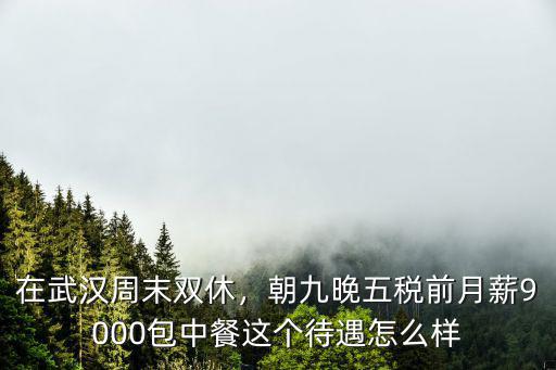 在武漢周末雙休，朝九晚五稅前月薪9000包中餐這個待遇怎么樣