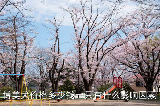 安陽博美犬價格多少錢一只,博美犬價格多少錢一只