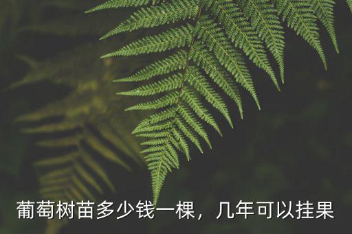 河南葡萄樹果苗多少錢,藍寶石葡萄苗多少錢一棵