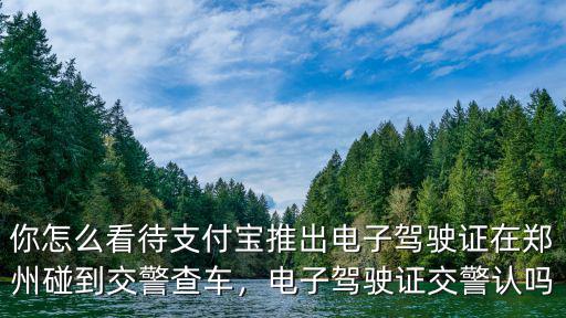 你怎么看待支付寶推出電子駕駛證在鄭州碰到交警查車，電子駕駛證交警認(rèn)嗎