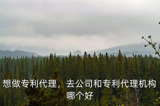 想做專利代理，去公司和專利代理機構哪個好