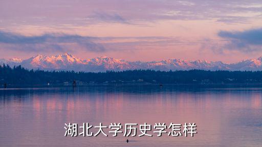 湖北大學(xué)歷史學(xué)怎樣