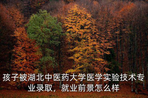 孩子被湖北中醫(yī)藥大學(xué)醫(yī)學(xué)實(shí)驗(yàn)技術(shù)專業(yè)錄取，就業(yè)前景怎么樣