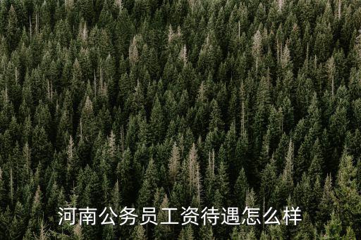 河南法院科員待遇怎么樣,河南公務員工資待遇怎么樣