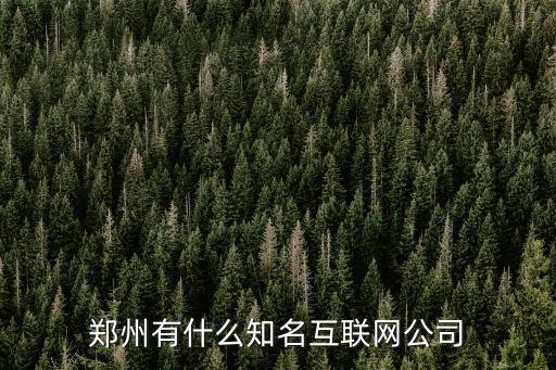 鄭州有什么知名互聯(lián)網公司