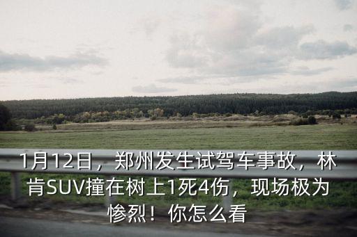 1月12日，鄭州發生試駕車事故，林肯SUV撞在樹上1死4傷，現場極為慘烈！你怎么看