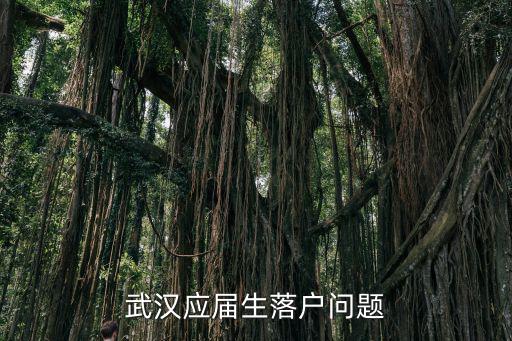 往屆大學生在武漢怎么落戶,大學生怎么能落戶武漢