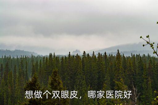 鄭州想做單眼皮去哪里好,單眼皮的人想做雙眼皮