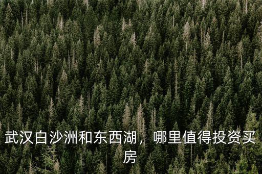 武漢東西湖國土局待遇怎么樣,武漢白沙洲和東西湖