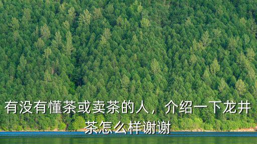 武漢懂茶品茶怎么樣,怎么樣才算是懂茶的人