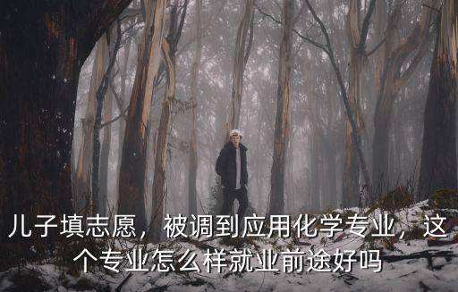 武漢理工應用化學專業怎么樣,被調到應用化學專業