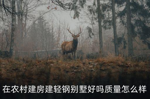 在農村建房建輕鋼別墅好嗎質量怎么樣