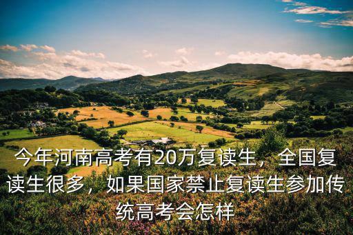 今年河南高考有20萬復(fù)讀生，全國復(fù)讀生很多，如果國家禁止復(fù)讀生參加傳統(tǒng)高考會怎樣