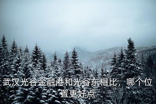 武漢光谷金融港中學怎么招生,武漢光谷金融港和光谷東相比