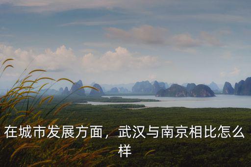 在城市發(fā)展方面，武漢與南京相比怎么樣