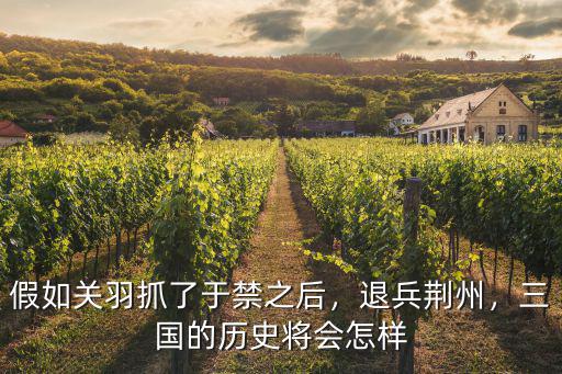 假如關羽抓了于禁之后，退兵荊州，三國的歷史將會怎樣