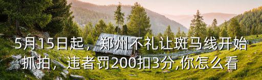 鄭州哪里的街道斑馬線多,鄭州不禮讓斑馬線開始抓拍