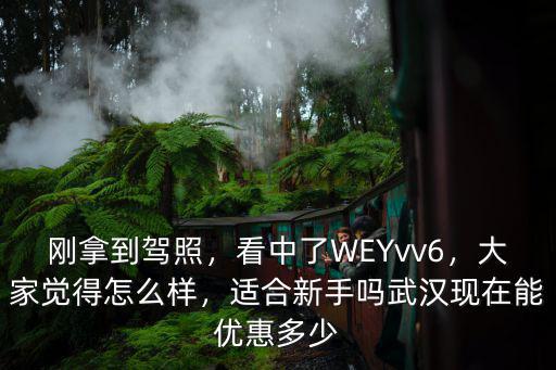 剛拿到駕照，看中了WEYvv6，大家覺得怎么樣，適合新手嗎武漢現(xiàn)在能優(yōu)惠多少