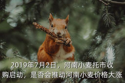 河南小麥滴灌管怎么回收,河南小麥托市收購(gòu)啟動(dòng)
