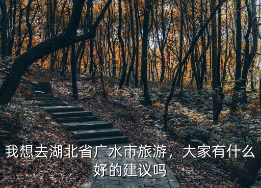 我想去湖北省廣水市旅游，大家有什么好的建議嗎