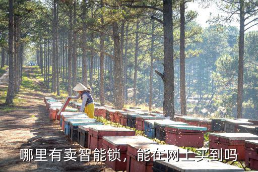 哪里有賣智能鎖，能在網上買到嗎
