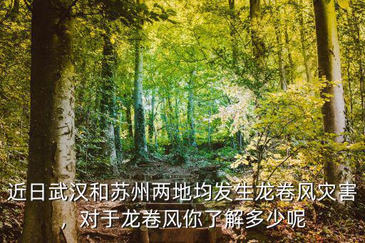 近日武漢和蘇州兩地均發(fā)生龍卷風(fēng)災(zāi)害，對(duì)于龍卷風(fēng)你了解多少呢