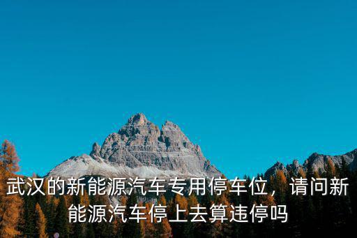 武漢格羅夫新能源汽車怎么樣,武漢的新能源汽車專用停車位