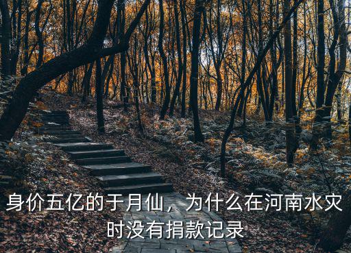 身價五億的于月仙，為什么在河南水災時沒有捐款記錄