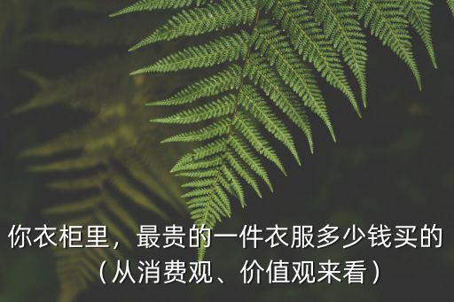 你衣柜里，最貴的一件衣服多少錢買的（從消費(fèi)觀、價值觀來看）