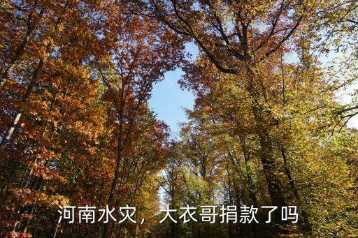 凸?fàn)敒楹幽暇杩盍硕嗌?河南洪災(zāi)你捐款了嗎