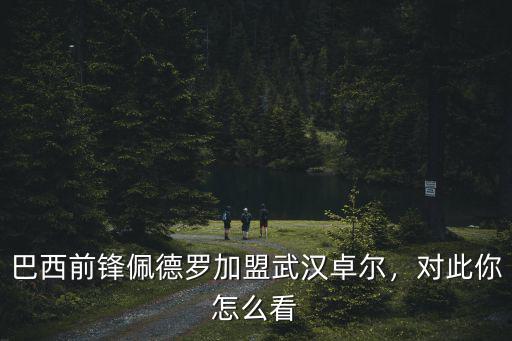 巴西前鋒佩德羅加盟武漢卓爾，對(duì)此你怎么看