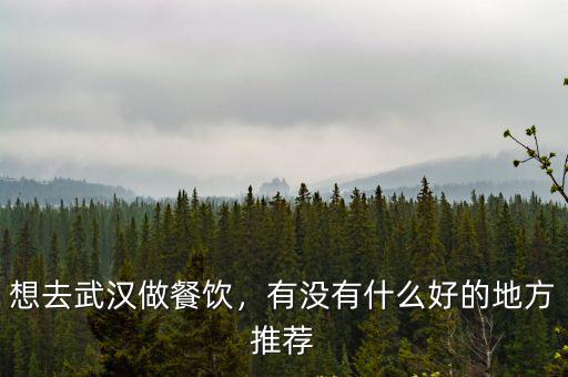 想去武漢做餐飲，有沒有什么好的地方推薦