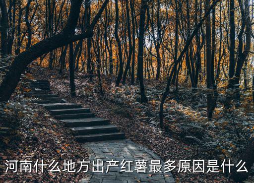 河南什么地方出產(chǎn)紅薯最多原因是什么