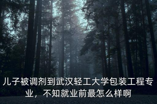 兒子被調(diào)劑到武漢輕工大學(xué)包裝工程專業(yè)，不知就業(yè)前最怎么樣啊