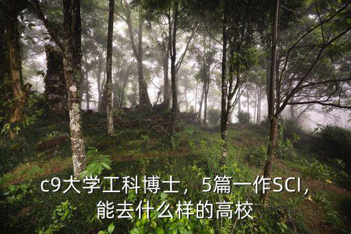 武漢大學工科博士怎么樣,c9大學工科博士