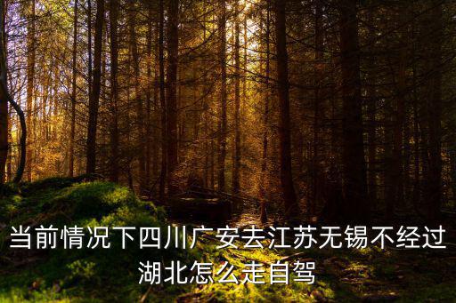 當前情況下四川廣安去江蘇無錫不經過湖北怎么走自駕