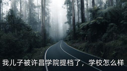 我兒子被許昌學院提檔了，學校怎么樣