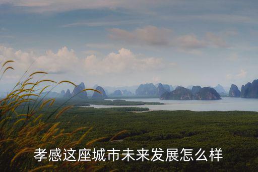 孝感怎么經(jīng)濟(jì)發(fā)展起來(lái)了,孝感為什么要向東發(fā)展